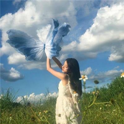 血麒麟之关东宝藏